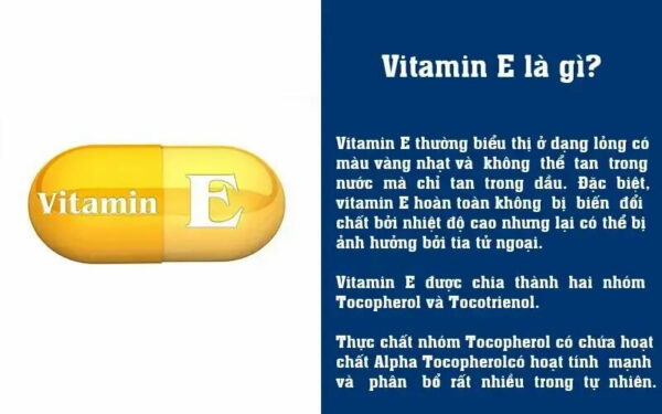 vitamin-e-co-tac-dung-gi-1