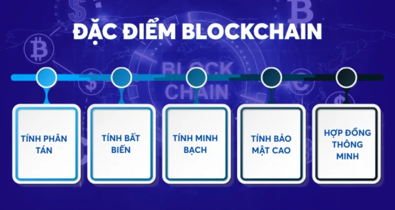 Khi tìm hiểu Blockchain là gì, cần phân biệt blockchain công khai, riêng tư và liên minh theo quyền truy cập.