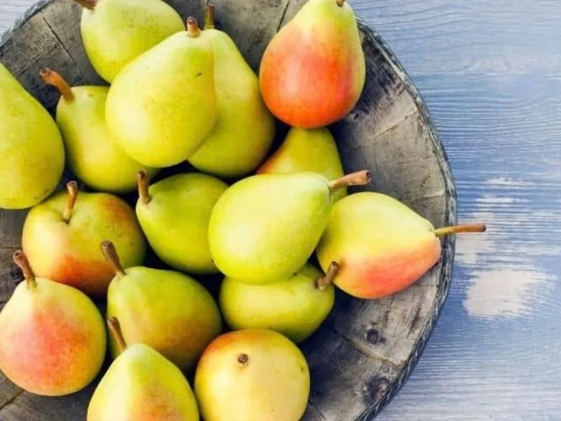 1 Quả Lê Bao Nhiêu Calo? Lượng Calo Và GIÁ TRỊ DINH DƯỠNG Của Quả Lê